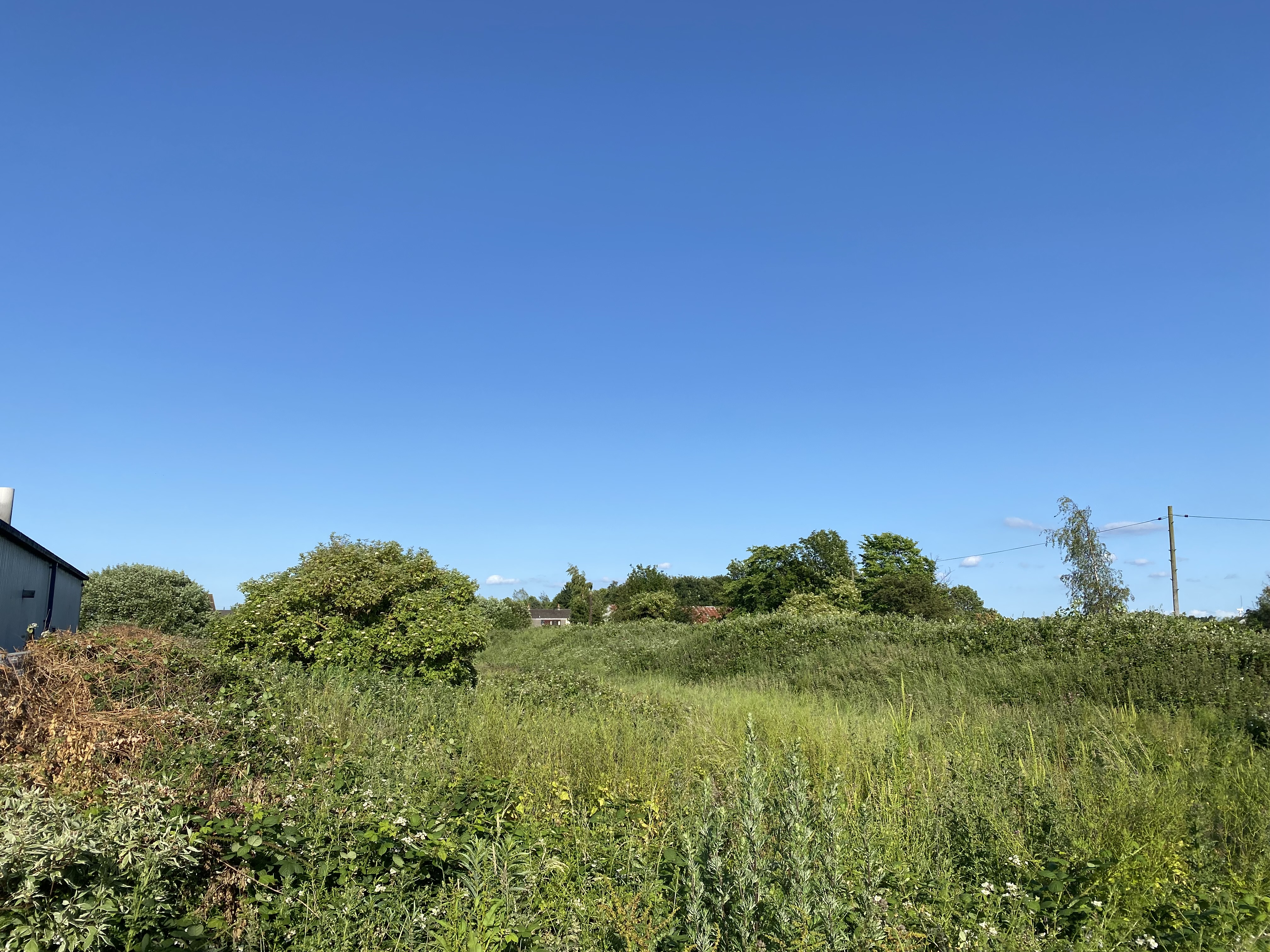 site1