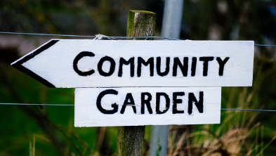 Community garden